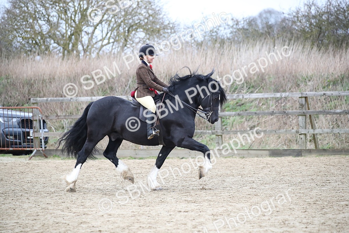 SBM_007124 - Class 10-13 - RIHS Small Large Breeds