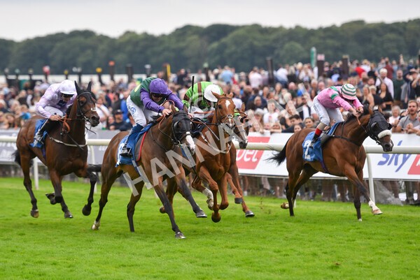 yr24072021r5-58 - Race 5 4.25pm Sky Bet Best Odds Guaranteed Stakes