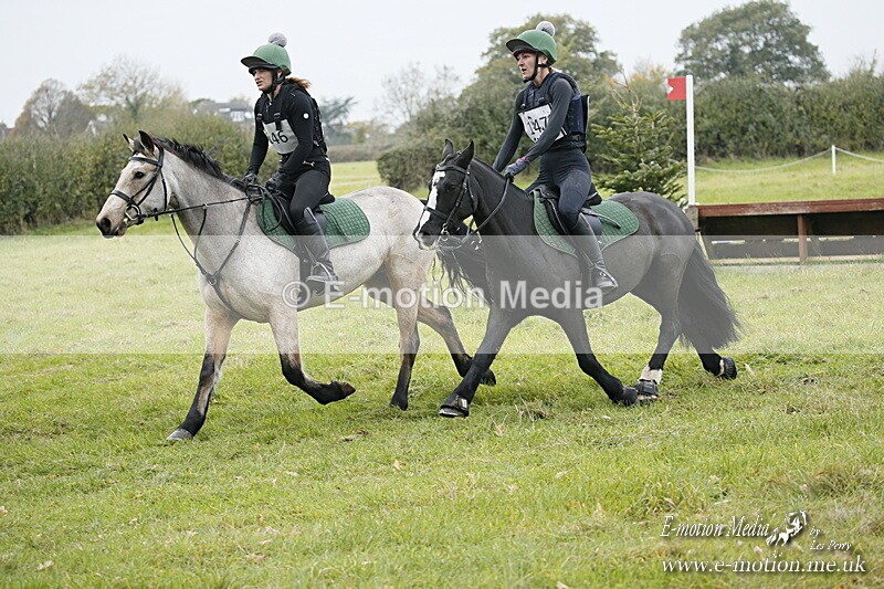 WWHT 181020 WWHT 181020 952 - WWEC Novice Pairs (0.80m) 18/10/20