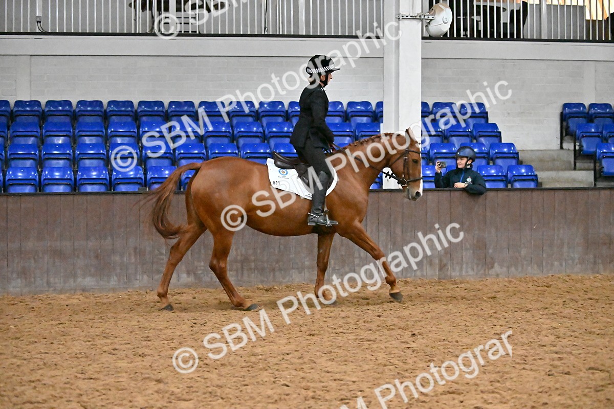 SBM_003061 - Class 37,38 - UKPSAF Performance Horse & Pony