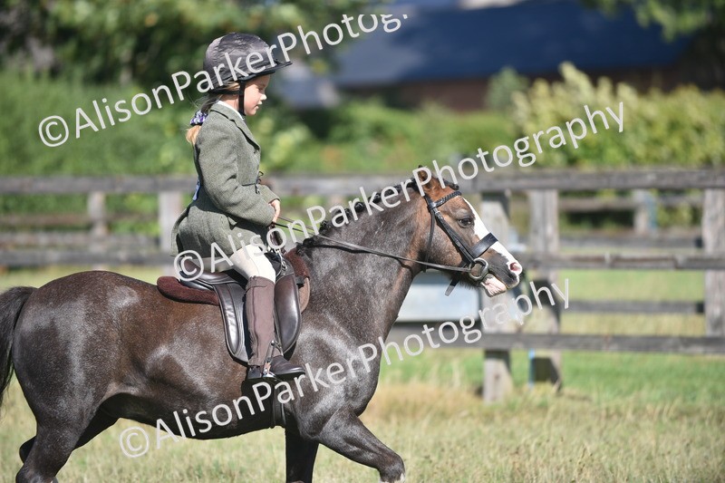 20260906-1002 - Class 7 - Absolute Novice Jumping 35cm