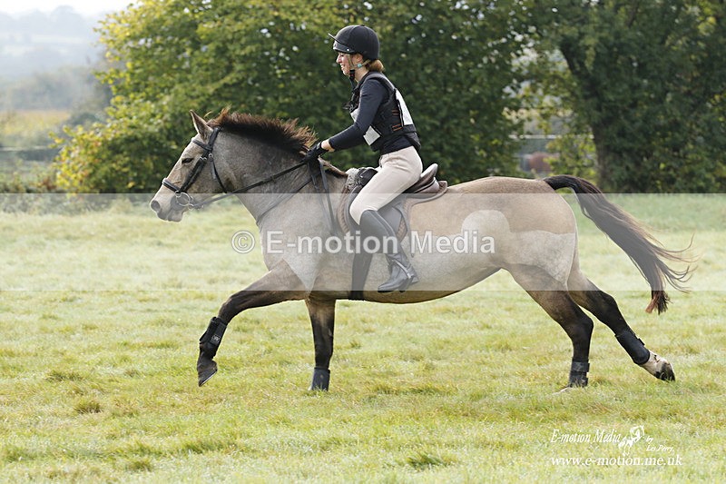  WWHT 171021 0726 - Open Novice (0.80m)  17/10/21