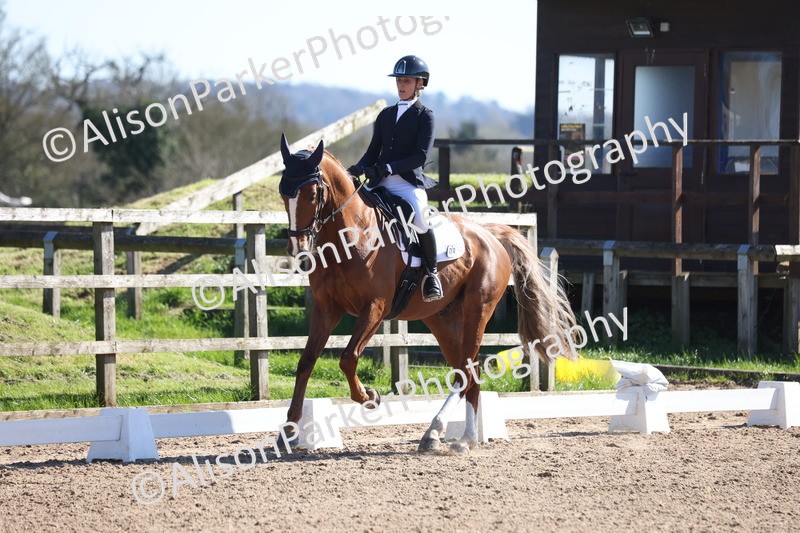 20260318-0532 - Class 5 - Novice 2