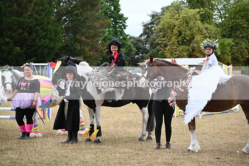 WJ6_9233 - Class 11 Fancy Dress