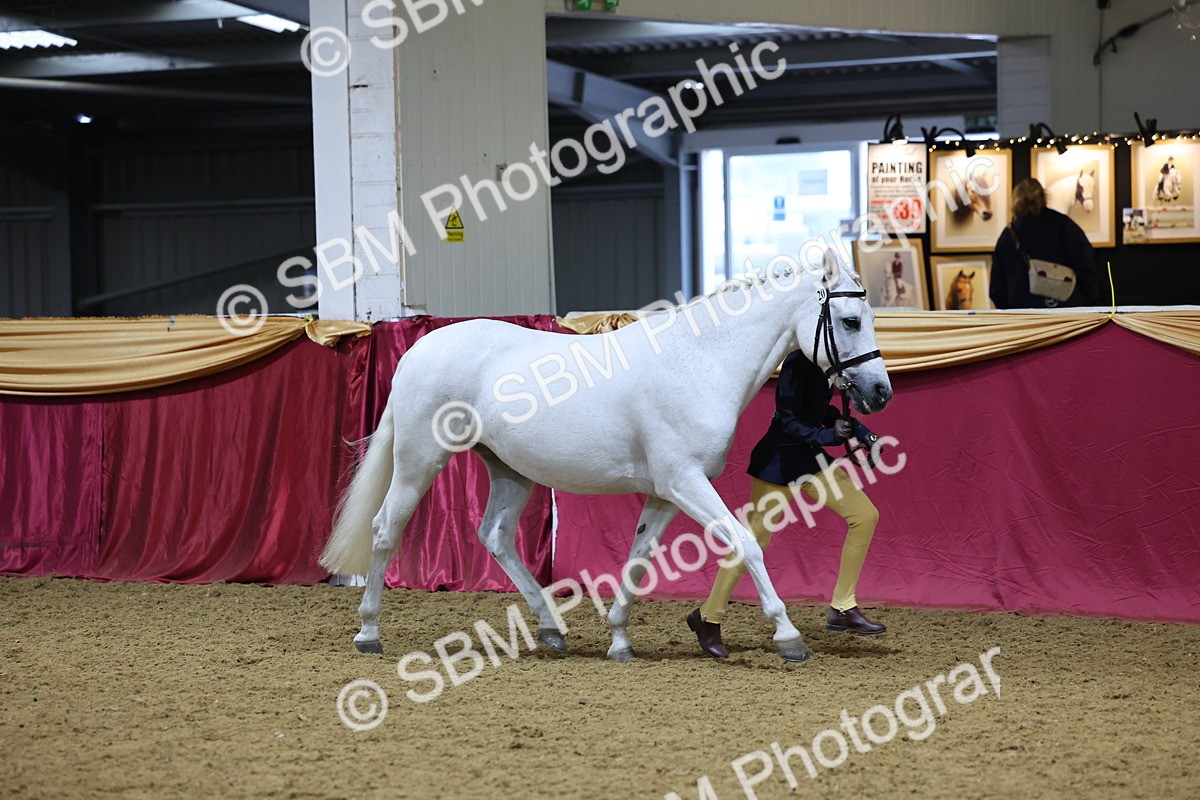 SBM_18464 - Class A Junior Champ 10 Years and Under