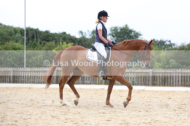 3E7A7242 - Class 9: Elementary 4 2024 - No sections