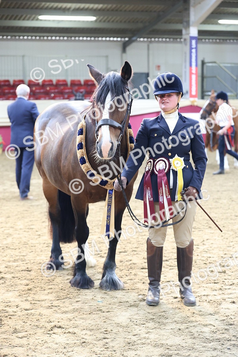 SBM_21917 - Class 901 - Supreme Final - IH  Diamond