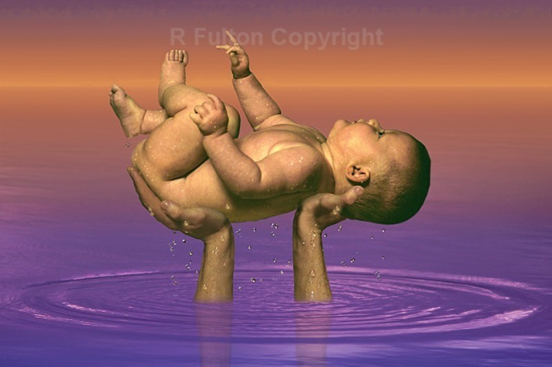 Evolution - Creative