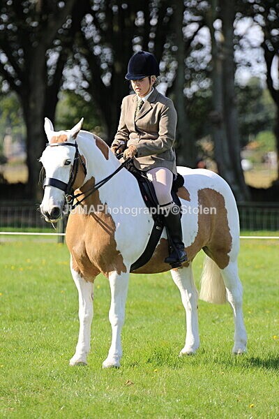 SIAL6024 - Ring 1 & 3