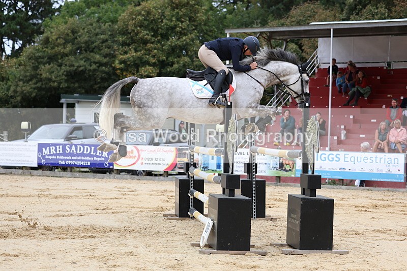 3E7A3337 - Class 9: Senior Foxhunter/1.20 open
