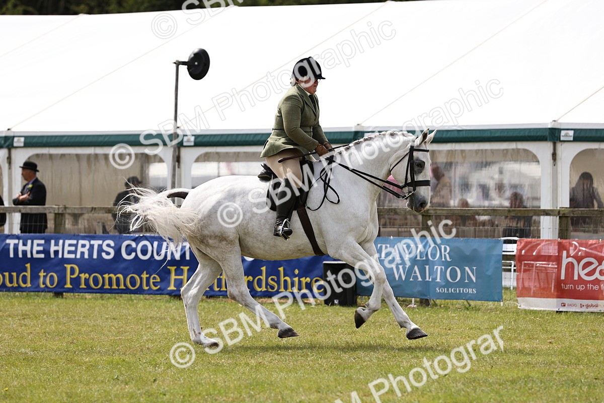 SBM_14707 - Class 88-89 - LIHS BSHA Rising Star of Ridden Hunter Type