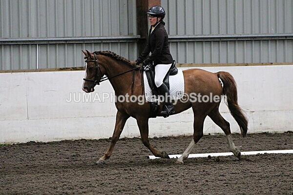 SIAL4283 - CAbin Dressage 5th july 2025