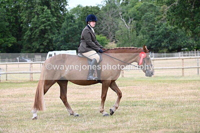 WJ6_4077 - Class 9 Tack & Turnout