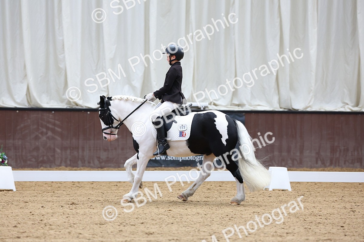 SBM_015818 - Class 15 - Novice FSM - 9.50 - 11.10