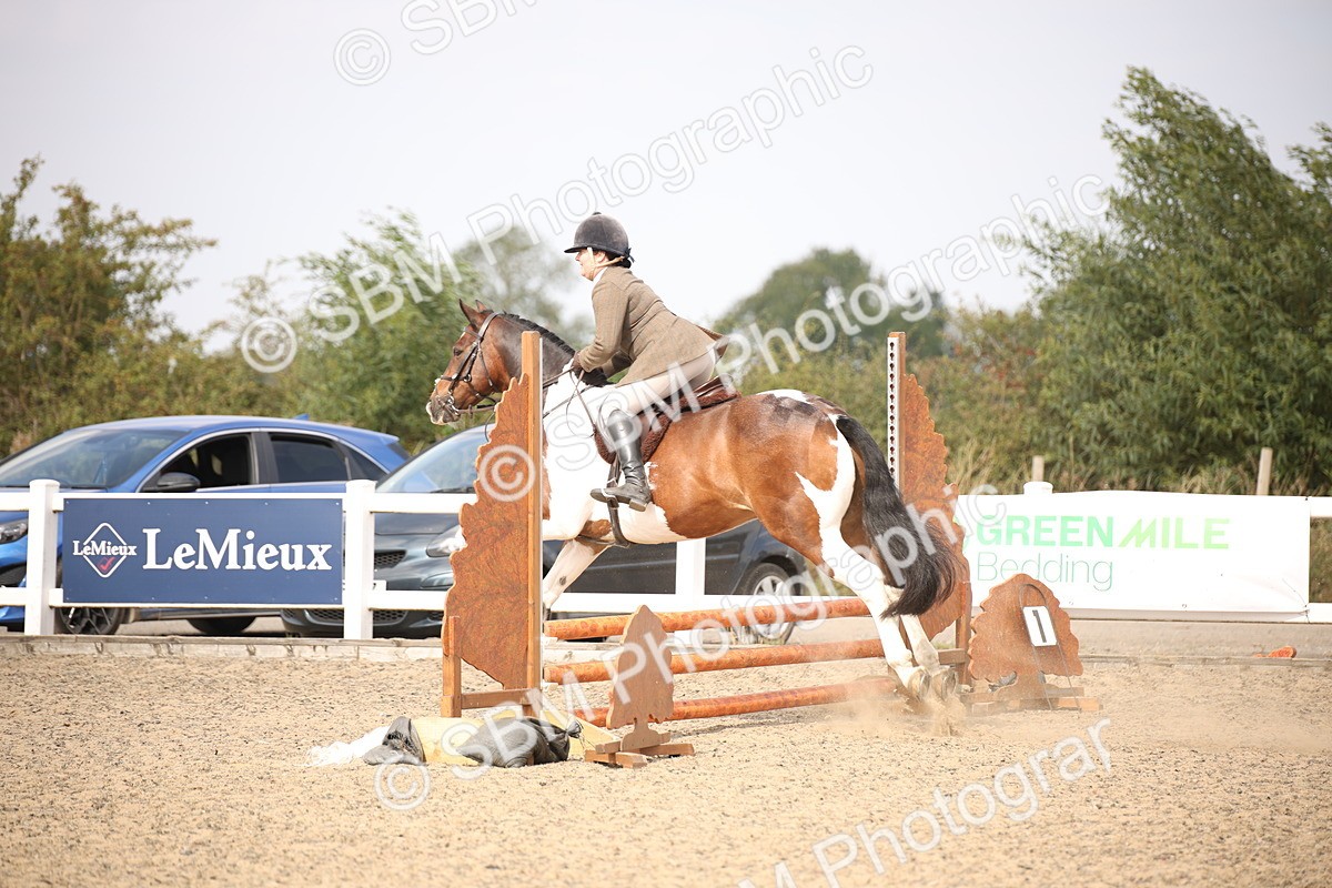 SBM_14948 - Class 408a - Working Veteran 70cm (15-19