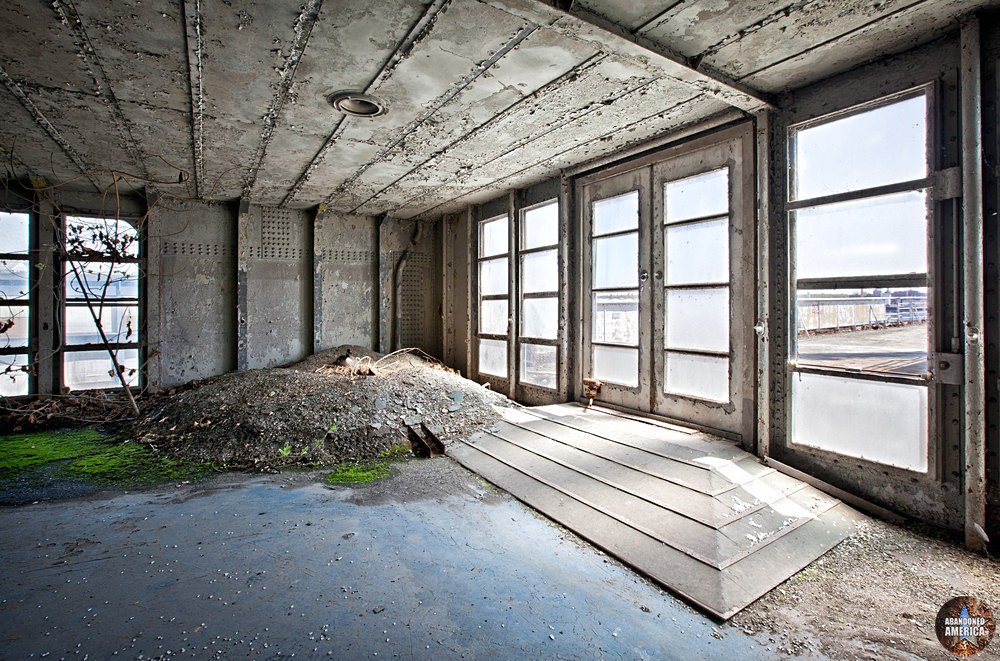 Nesting Canada Goose | SS United States (Philadelphia, PA) - SS United States