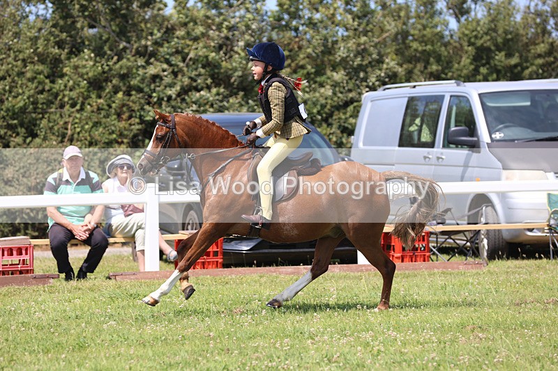 JPP_2520 - Class 21: Working Hunter 60cm