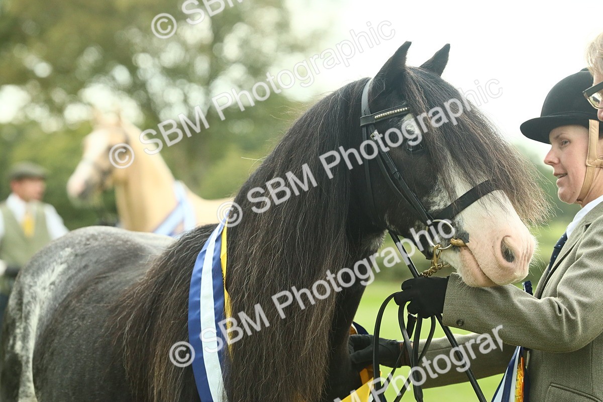 SBM_75192 - Super Supreme Championship