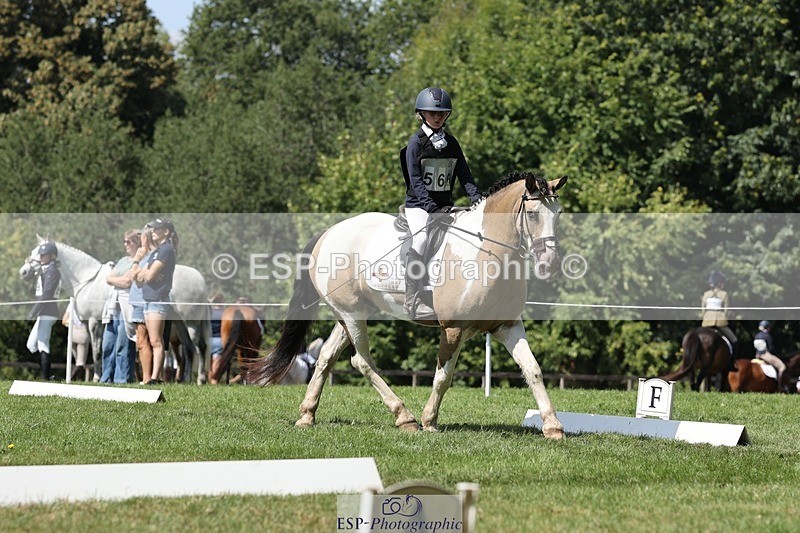 250823A-133416-31319 - Arena D