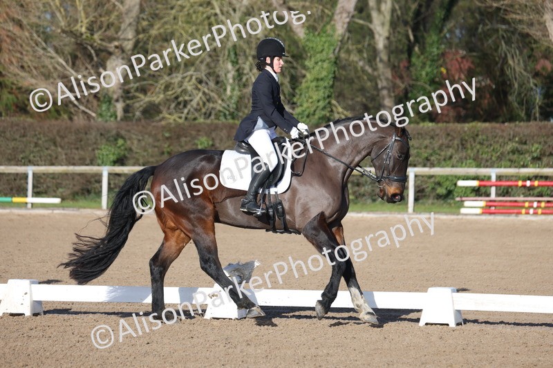 20260128-0245 - Class 3 - Novice 4