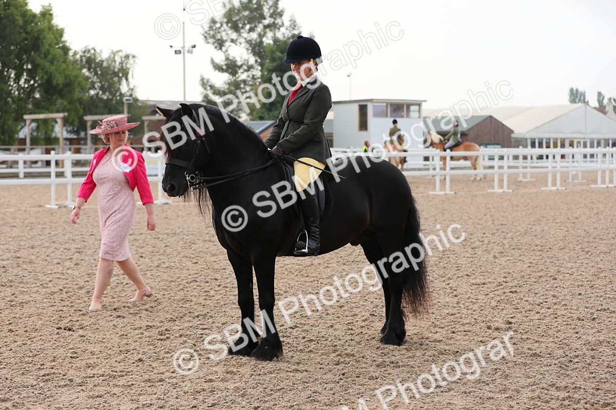 SBM_10036 - Class 302 Ridden M&M -Large Breeds