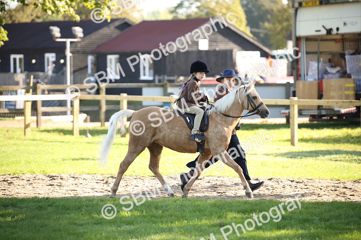SBM_35682 - S9 - Lead Rein Equitation
