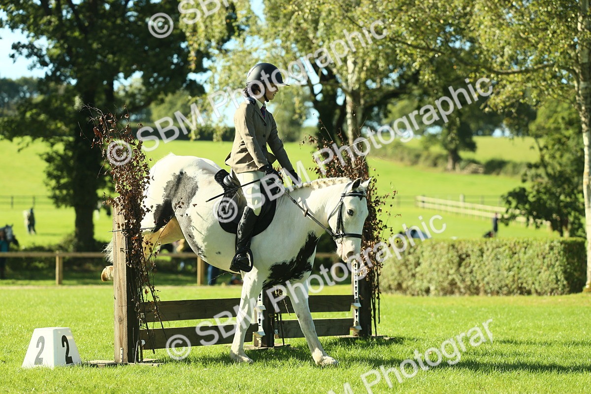 SBM_36437 - S29 - Novice & Newcomers Working Hunter Pony