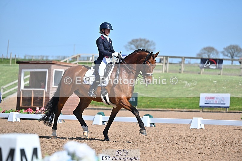 250405-125955-10805 - 028-Elizabeth.Allen-Heraldik