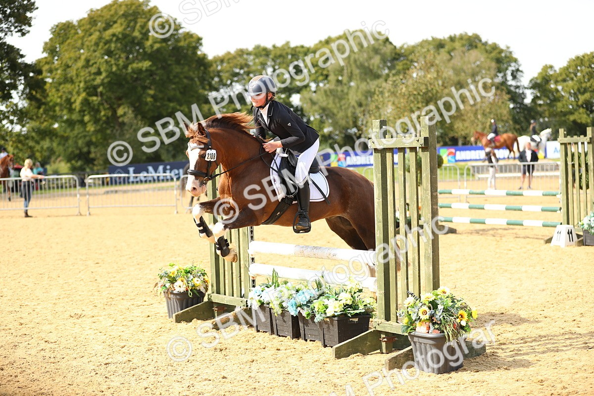 SBM_66102 - J17 - Junior Pony 80cm Championship