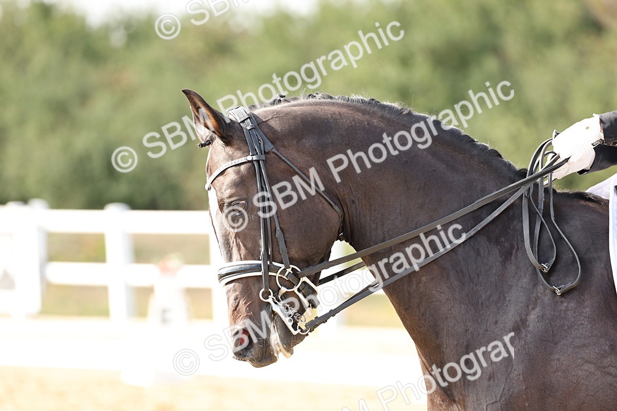 SBM_016232 - Class 10 - Advanced Medium 5