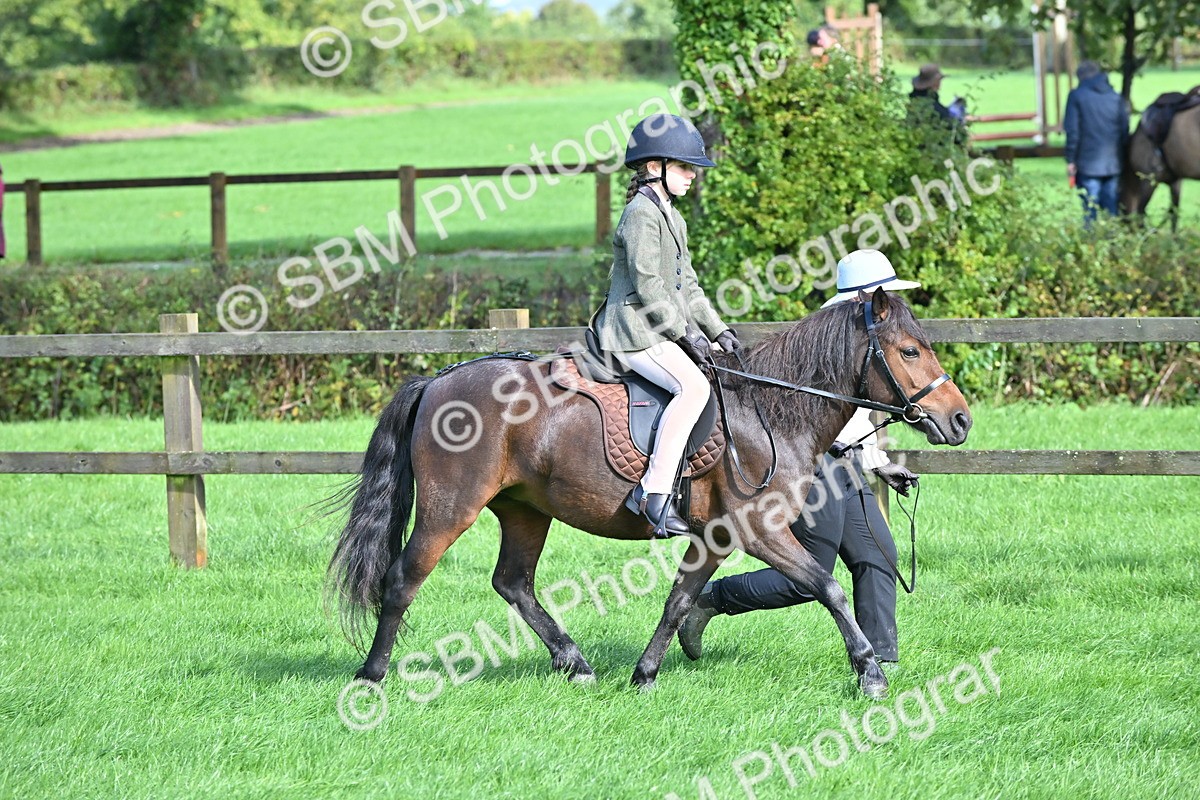 SBM_37426 - S18 - Novice & Newcomer Lead Rein Pony