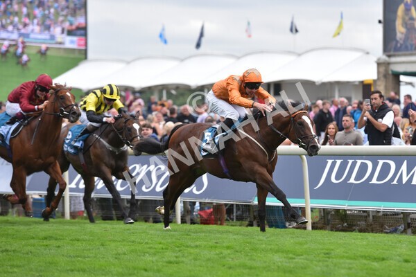 yr17082022r7-31 - Race 7 5.20pm Sky Bet Nursery Handicap