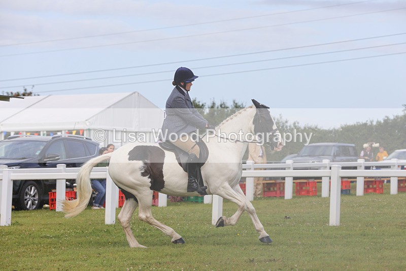 1X9A3066 - Class 26: Ridden Plaited Coloured Pony
