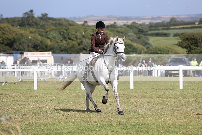 JPP_2575 - Class 20: Working Hunter 70cm