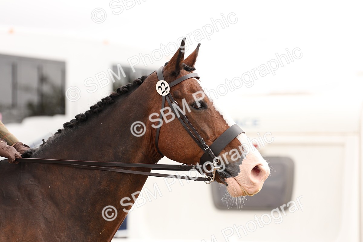 SBM_02871 - Class 53 - Ridden Competition Horse/Pony