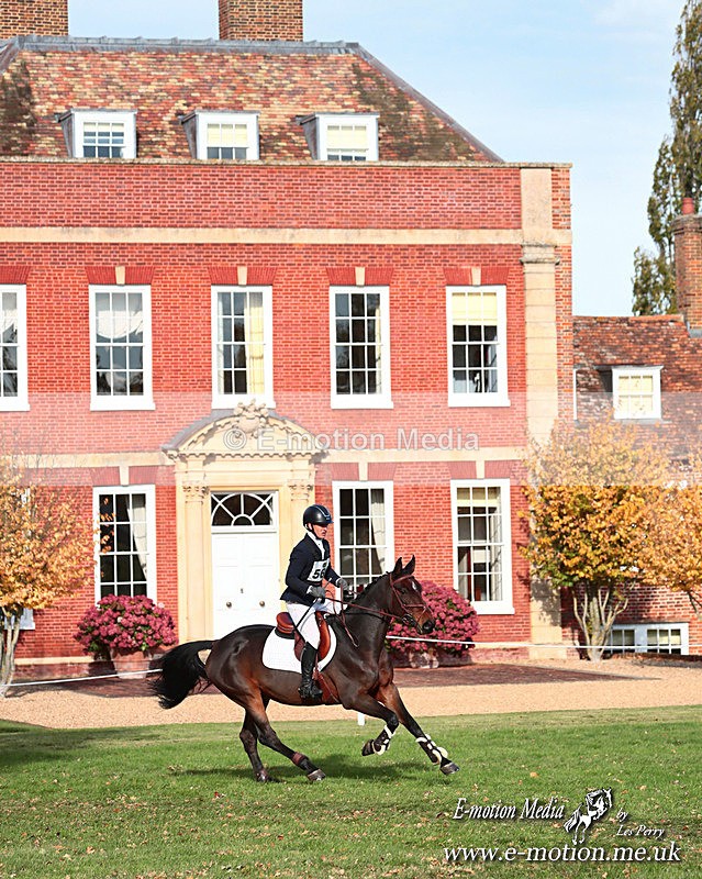 BESJ 261025 731a - Equestrian