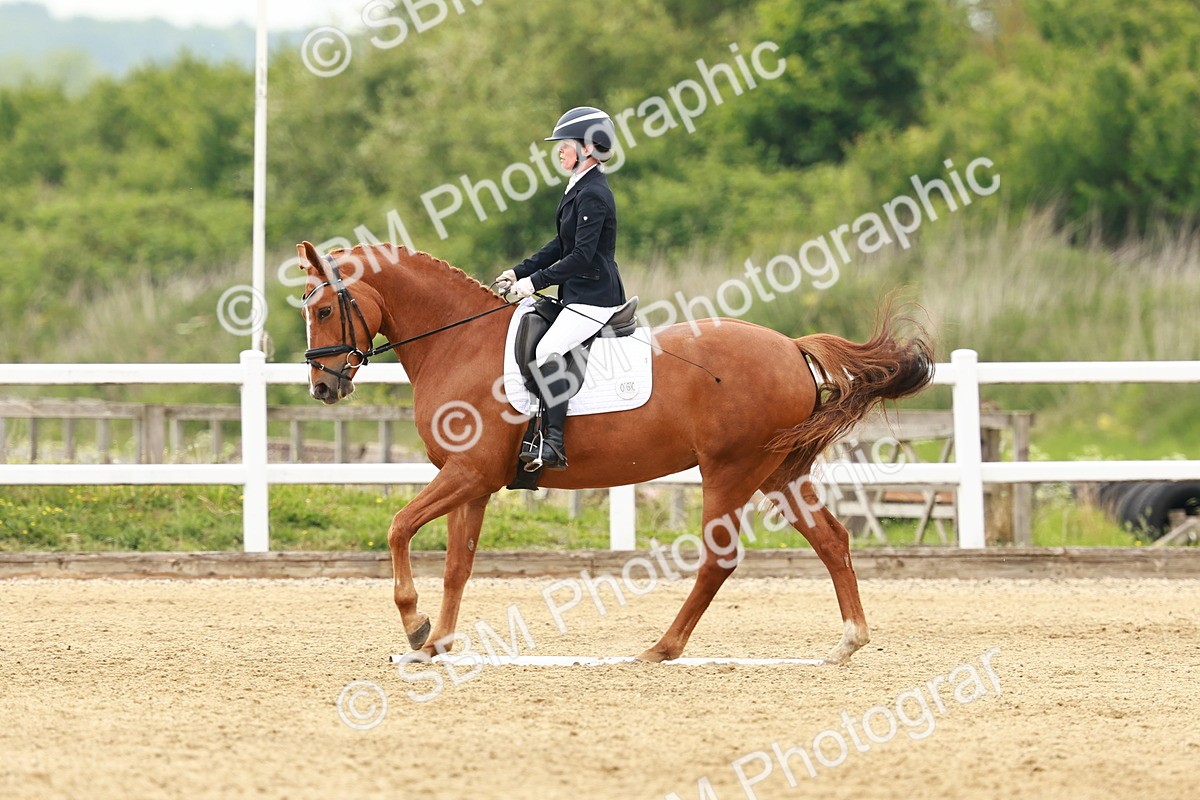 SBM_001346 - Class 7 - Novice 5