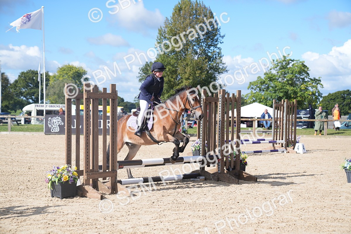 SBM_02456 - J54 Clear Round 45cm