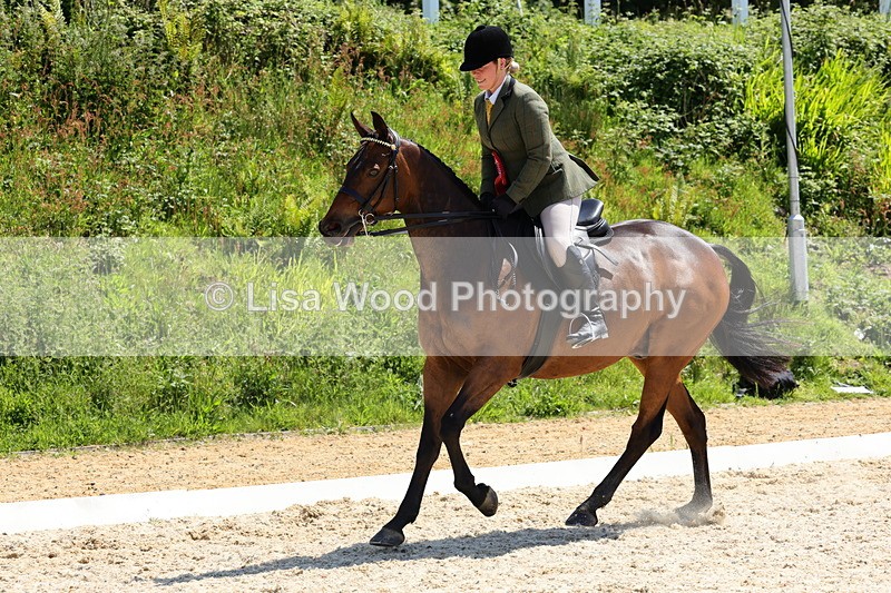 1X9A1929 - Class 12: Ridden Riding Horse/Hack