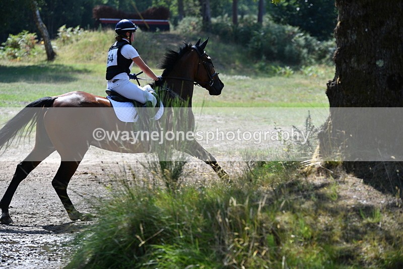 WJ5_3462 - XC Time 13:30 to 14:00