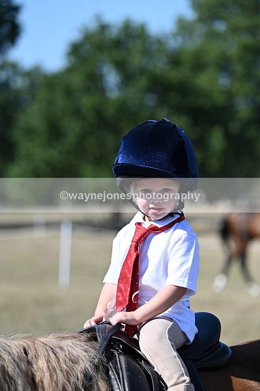 WJ7_1493 - Class 42 Most Handsome Gelding