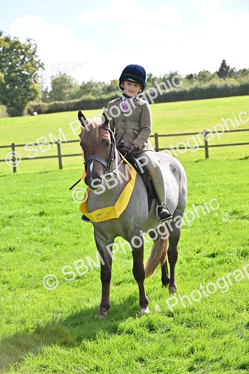SBM_44594 - S13 - Pony Club Pony