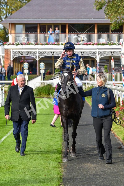 141023-Race 1-Purosangue-0584 - Race 1 1.15pm Coral Rockingham Stakes