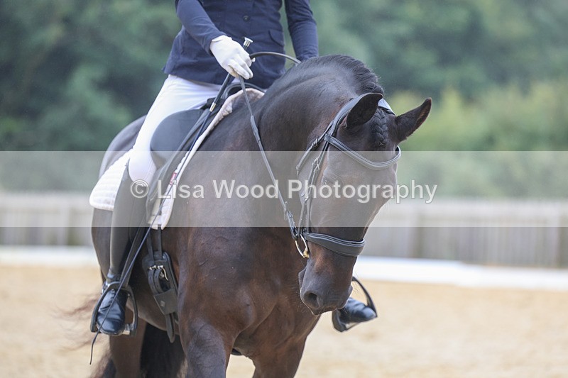 3E7A6558 - Class 4: Prelim 4 2024 - Section B