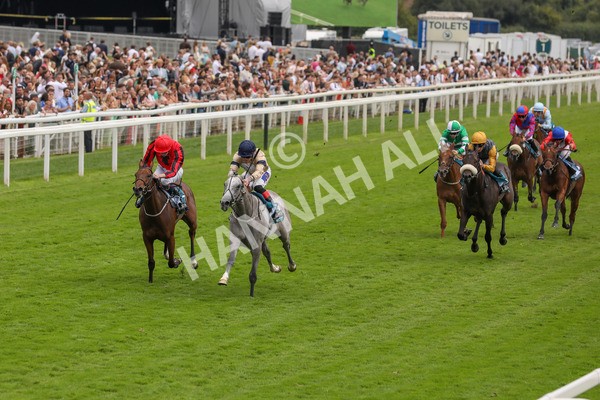 270724-Race 4-Greydreambeliever-4704 - Race 4 4.00pm Sky Bet Club EBF Fillies' Novice Stakes