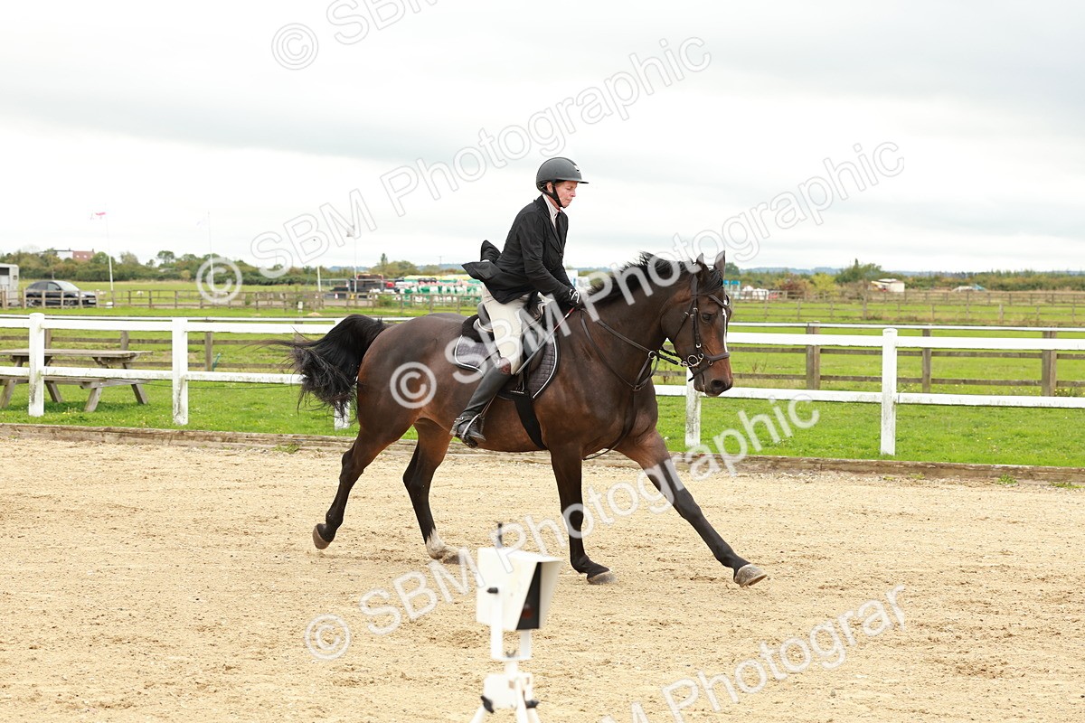 1I0A6926 - Class 2 - Senior British Novice