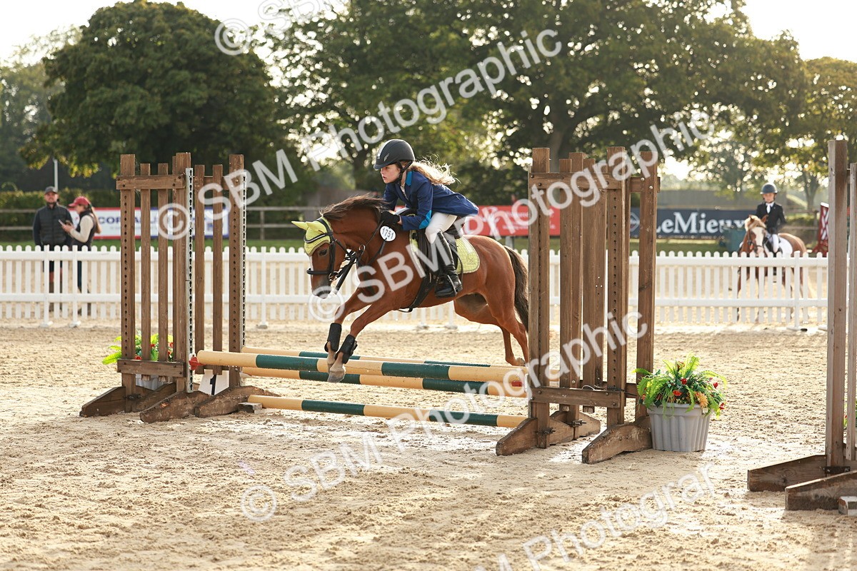 SBM_55436 - J11 - Junior Pony 50cm Championship