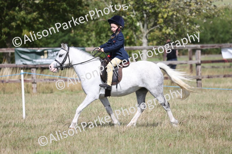20260906-3020 - Class 18 - Childs First Pony