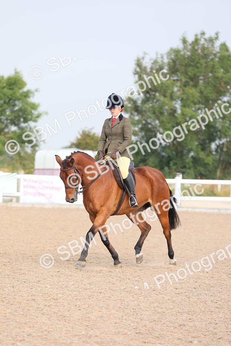 SBM_10886 - Class 304 Ridden Part Bred Horse/Pony