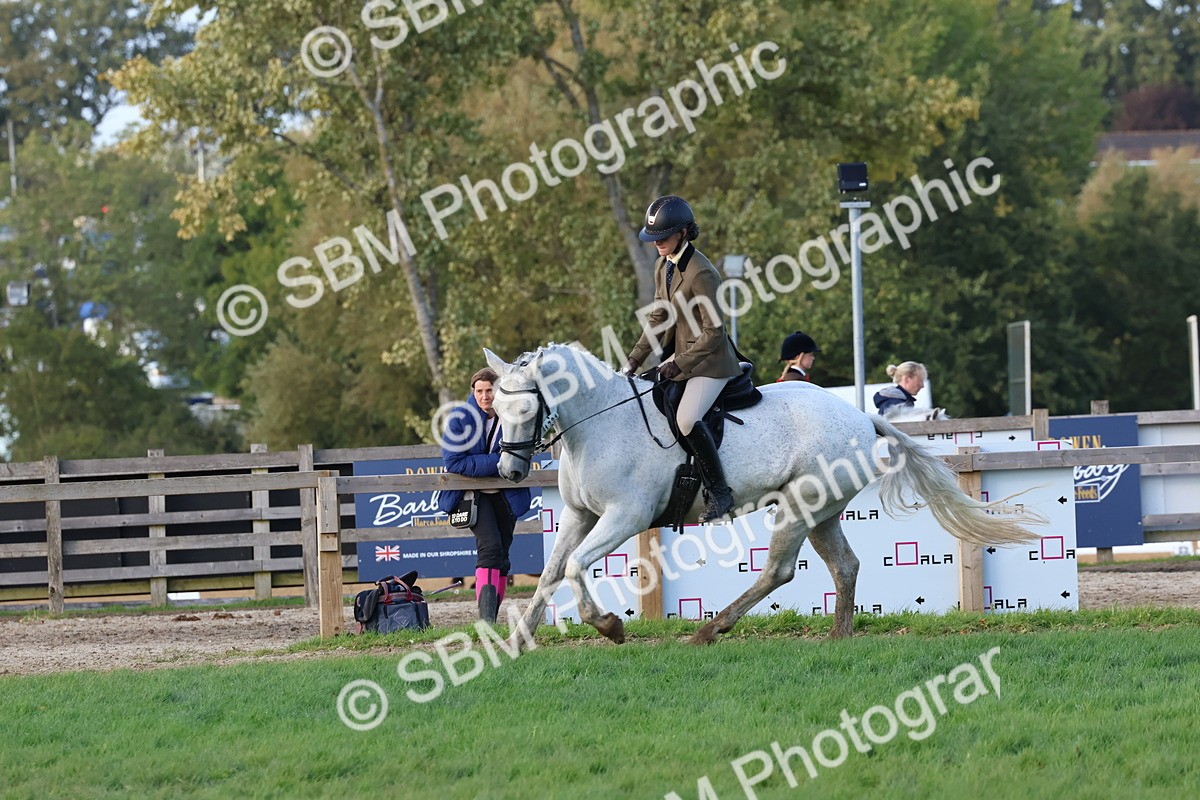 SBM_52554 - S13 - Pony Club Pony